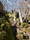 Der Trusetaler Wasserfall bei Trusetal im Thüringer Wald, (D) (9) 15. April 2015.JPG